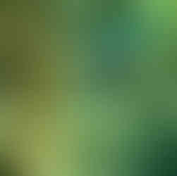 Underwater World of Surin Islands with a fish and coral