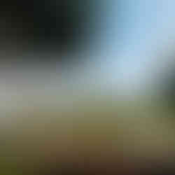 Riverie Hotel Sat on Kok River