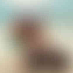 Family stroking a pig on Pig Island