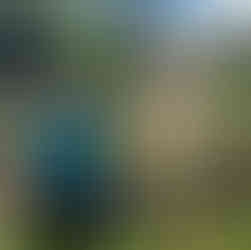 Local guide and Jax harvesting food for cooking class