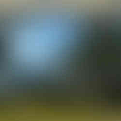 View of the ocean from the beach bungalow