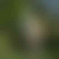 Jax standing in front of his den