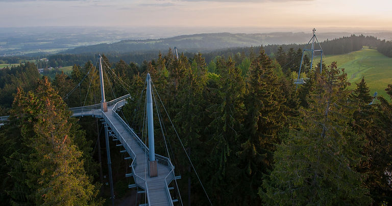 Walderlebniswelt: Skywalk Allgäu