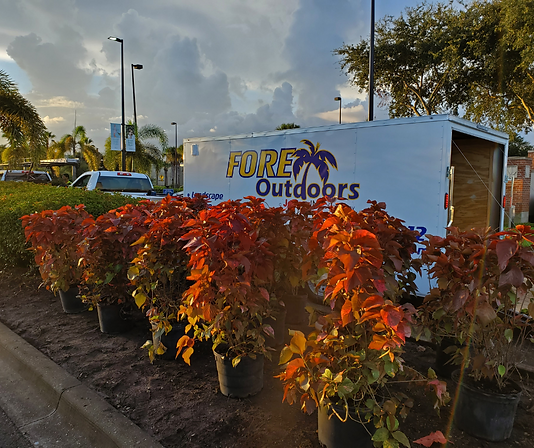 TrailerandBushes (1).png
