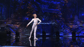 Herkaus pasirodymas „Lietuvos talentai“ konkurse