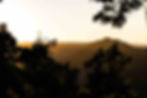 Sunset over a forested mountain landscape with dark silhouetted trees. The sky glows in warm orange hues, creating a serene atmosphere.