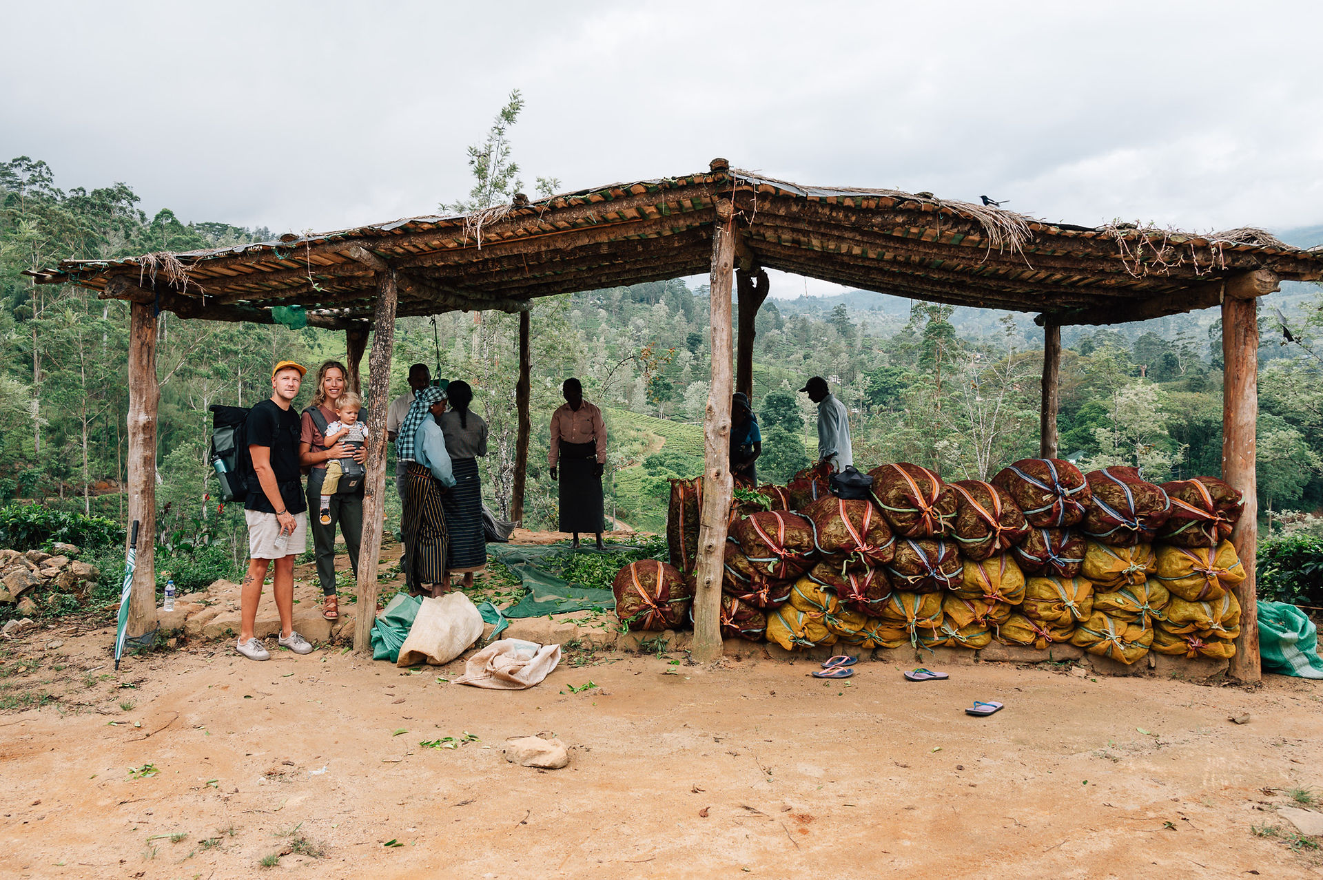 The Tea Tour, Hatton, Sri Lanka