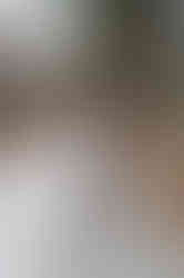 clear creek canyon trail