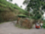 Tuktuk Rental in the tea fields of Sri Lanka