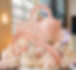 Screenshot 2026-03-24 133812.png