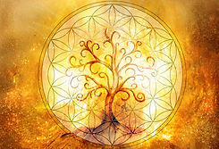 Life Cycle Events