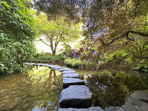Bridging Head and Heart: Connecting the Mind, Body, and Nervous System