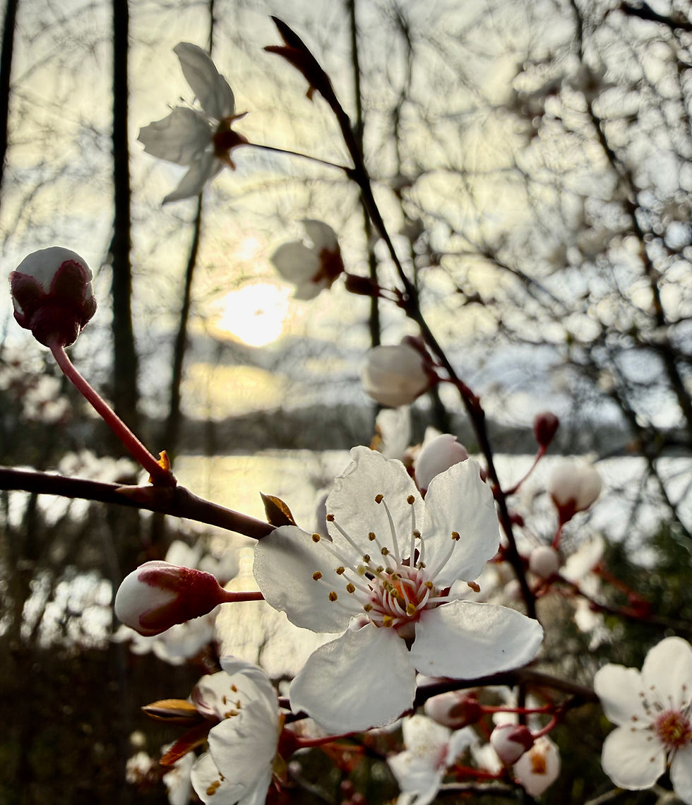 Self Abandonment Goes Deeper Than We Think