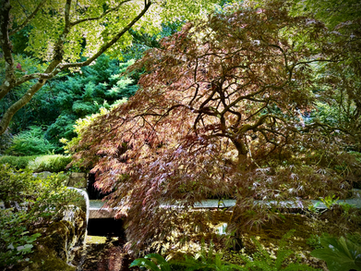 The Mind, Heart and Gut Awakening