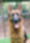 _DX19590_edited_edited.jpg