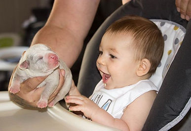 Christian loves the pups! 🐶 #erpkennels