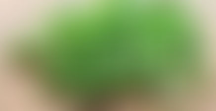 Curry flavoured green beans