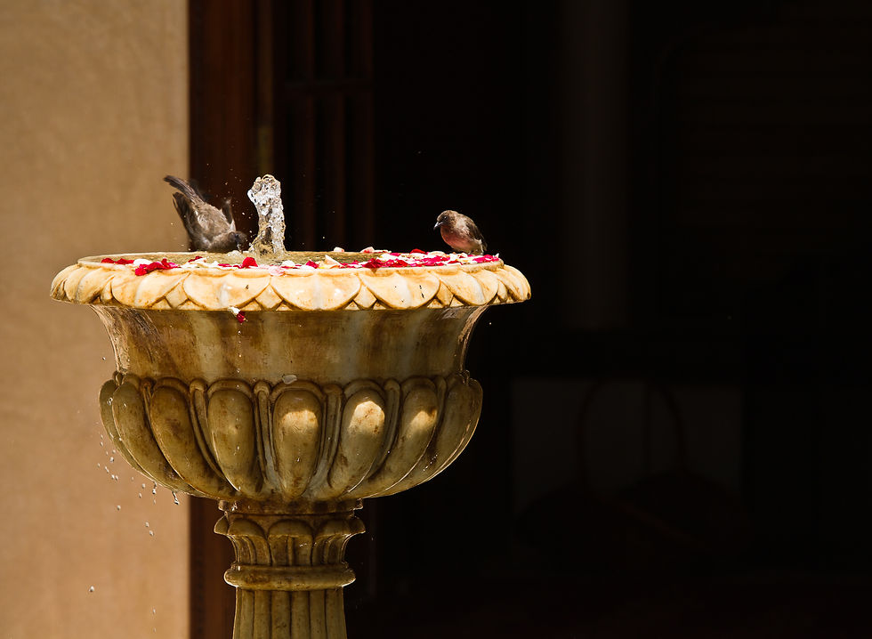 Fontaine du riad