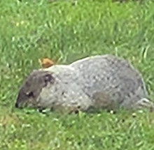 20250804_081845_edited.jpg