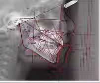 141_側貌オリジナルトレース.jpg.avif