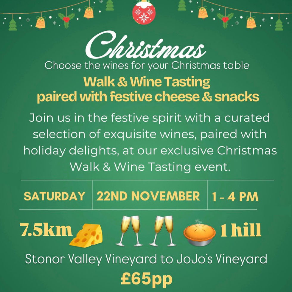 Walk Works - Christmas Walk & Wine Tasting