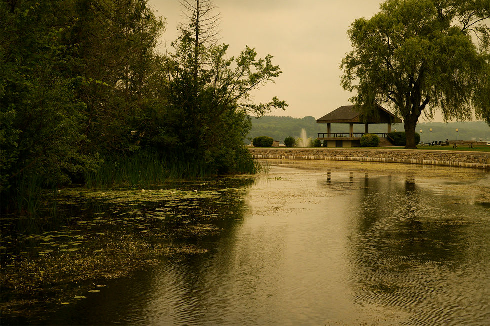 _DSC8871-Edit
