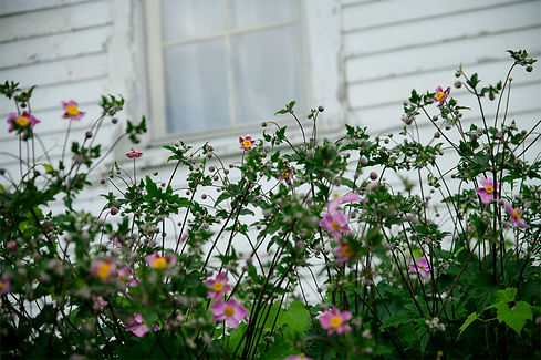 untitled-2114.jpg