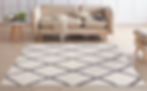 CHARLOTTE COLLECTION DIAMOND 4802 IVORY AREA RUG