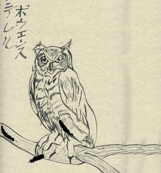 TERRERUOWL-2.gif