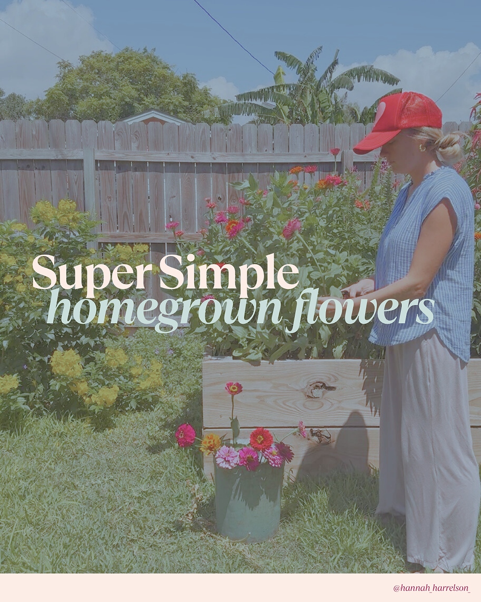 Super simple homegrown flowers: My personal guide