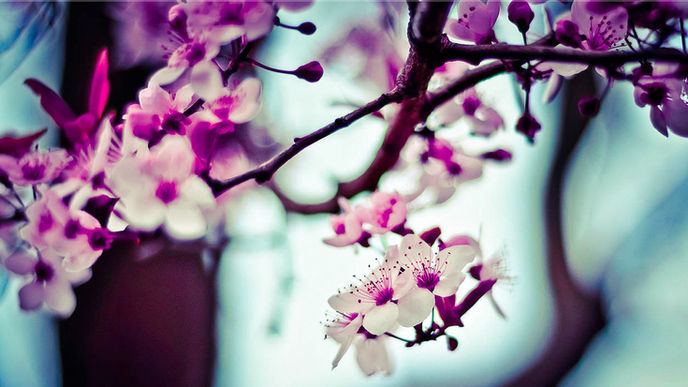 25 Quotes About Poetry