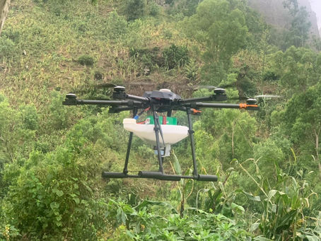 Green Island: tecnologia e inovação ao serviço da agricultura e do ambiente