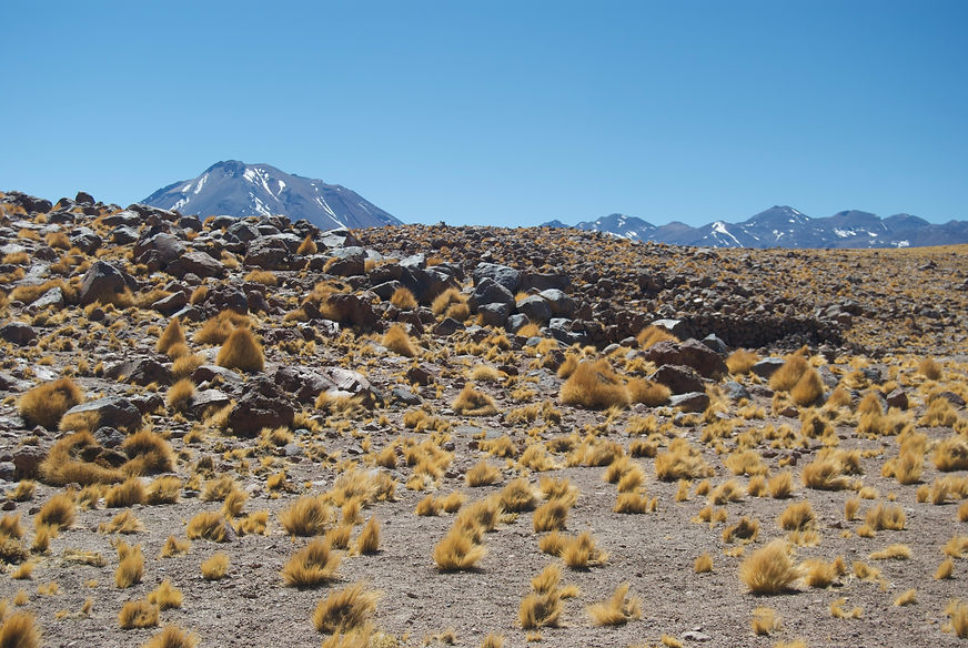 Atacama.jpeg