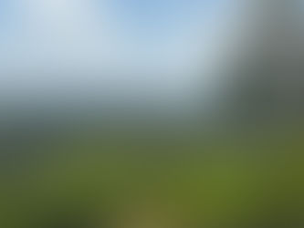 Paisaje selvático desde Cerro Flecha en Mitú, Vaupés, Colombia