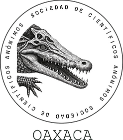 SCAOAX_LOGO_REDONDO_web.png