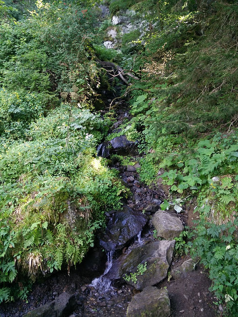 img.jpg