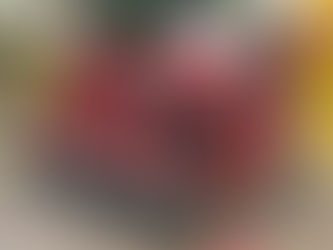 Case Study: CED 100 Heli-Portable Drill Rig Now Operating in Mali | Compact Diamond Drilling for Remote Exploration