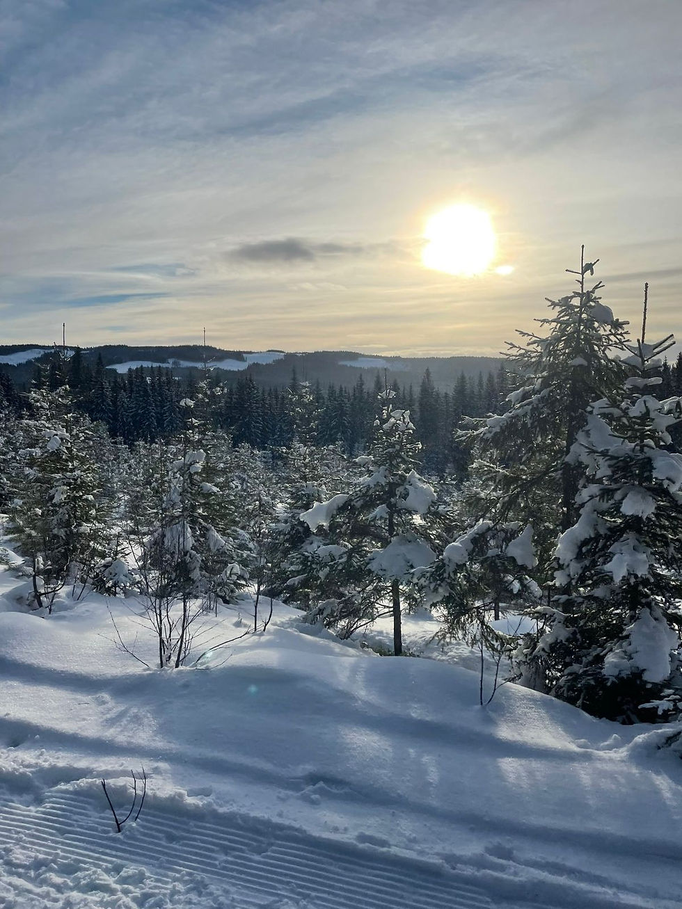 Cross-country skiing through the snowy mountains of Norway