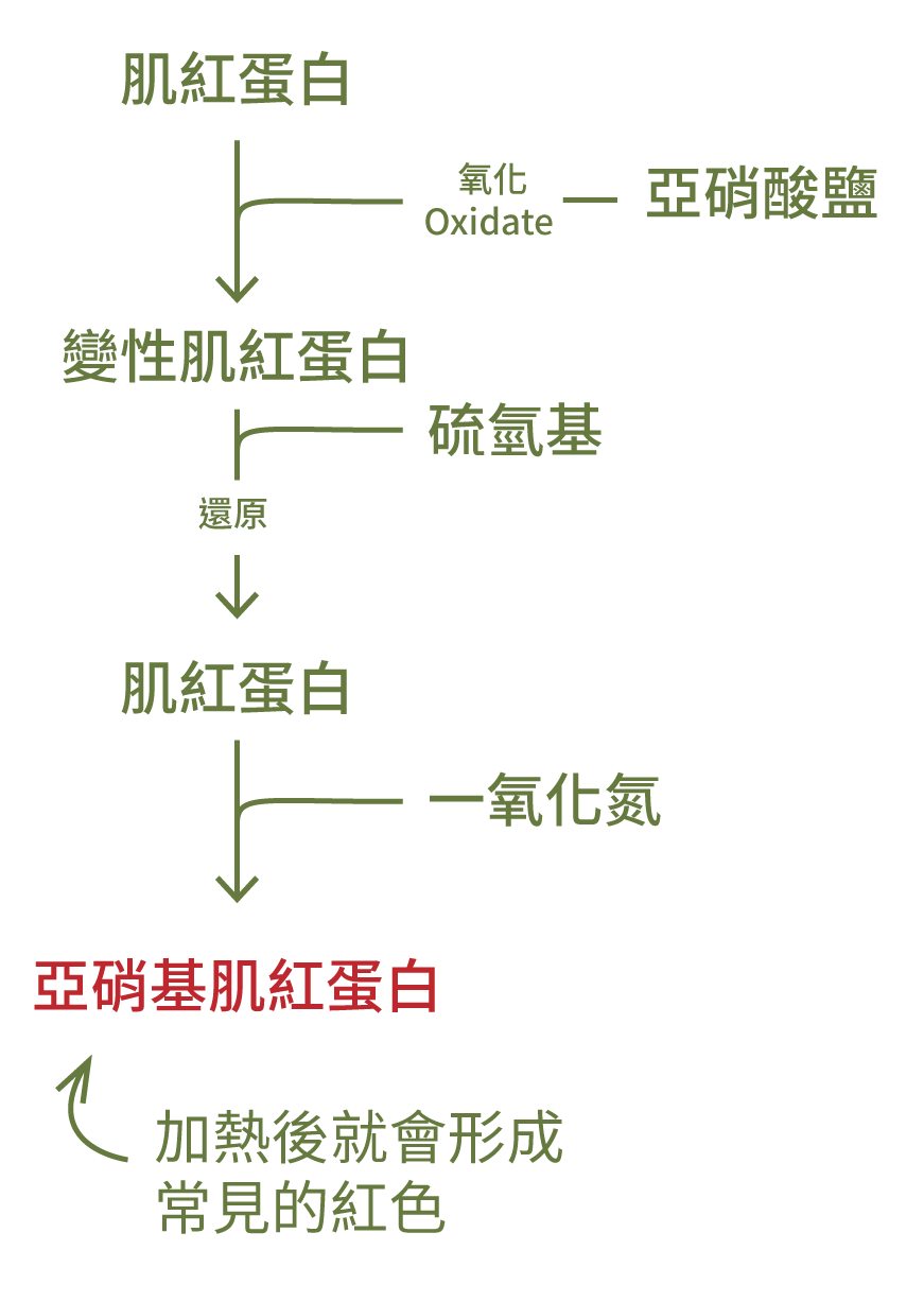 肌紅蛋白轉為亞硝基肌紅蛋白