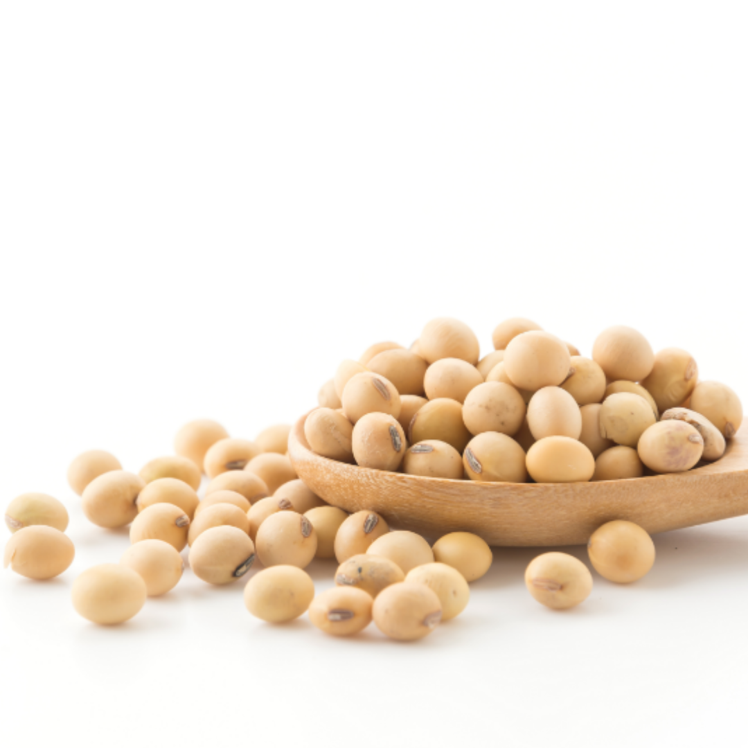 Snack de Soya