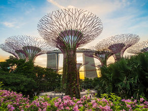 F1 Weekend Itinerary for Tourists: What to See, Eat and Experience in Singapore