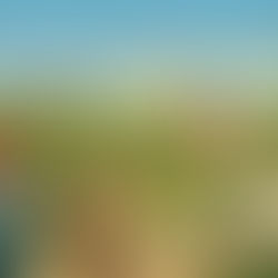 Illustration professionnelle montrant deux experts agricoles discutant devant un vignoble dans le Gard. L'image contient des schémas explicatifs en français détaillant la méthode d'évaluation (plan, drone, tarière), les critères (sol, eau, soleil, cépage) et les références de marché (prix par hectare, tendance). En haut, le titre complet : "Évaluation d'une vigne dans le Gard : méthode, critères et références de marché".