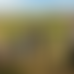 Donation de terrain agricole : comment ça se passe et comment bien évaluer le bien ?