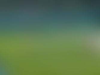 Mens Summer County Week Team