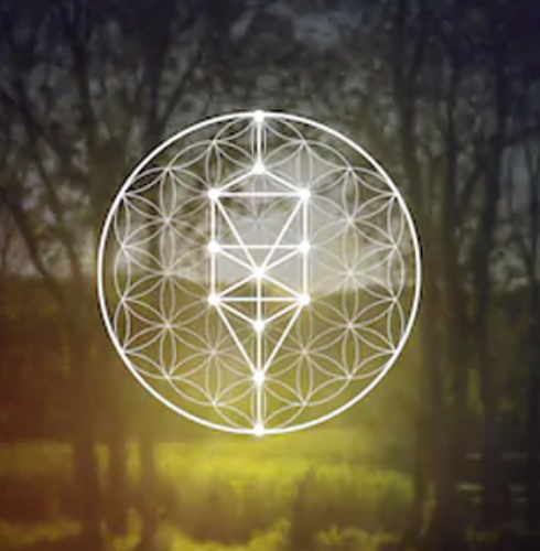 THE MOSES CODE | ROSE LIGHT