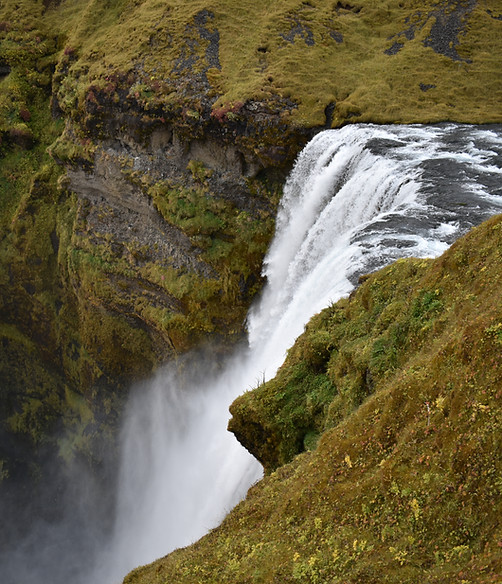 DSC_0563.JPG