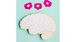 ¿Sabes qué es la neuroplasticidad?