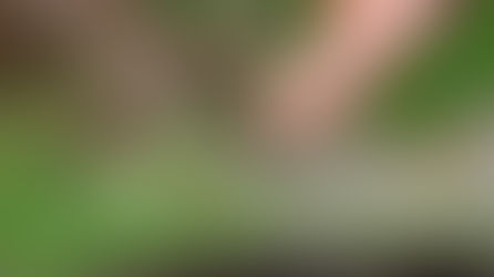 ¿Dónde estás poniendo tu energía?