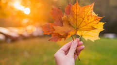 Septiembre: el mes del cambio. ¿Incomodidad o necesidad?