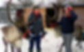 Blitzen-and-Frosty-Vicki-and-Lucy-crop-6